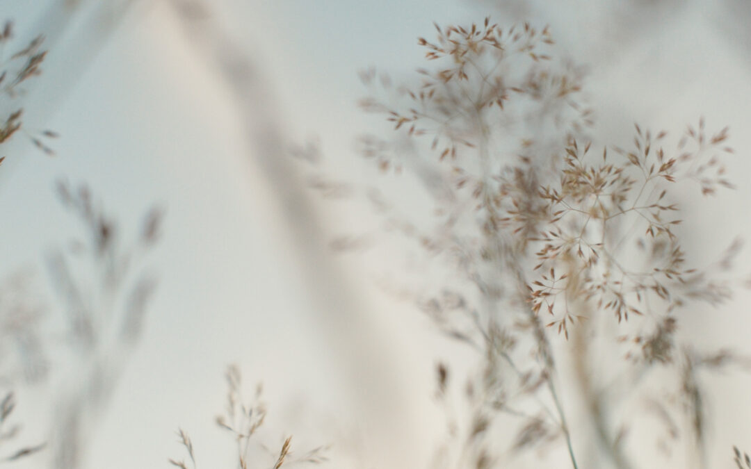 Grieving with Barakah: Finding Healing Through Faith
